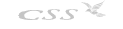 CSS Logo